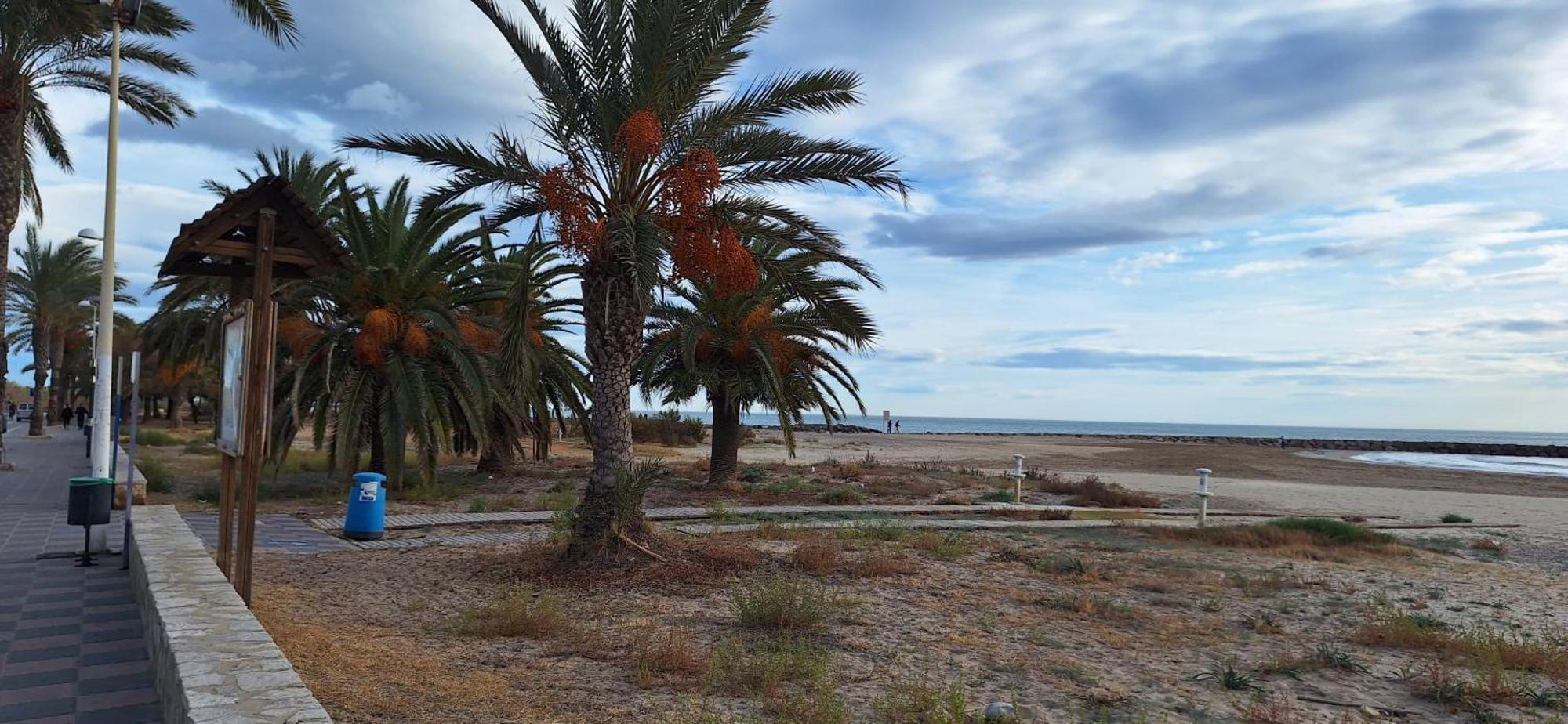 Ferienwohnung Vacaciones En El Mar Sagunto Exterior foto